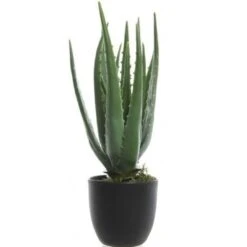 Merkloos Bellatio Flowers & Plants Kunstplant - Aloe Vera - Groen - 35 Cm