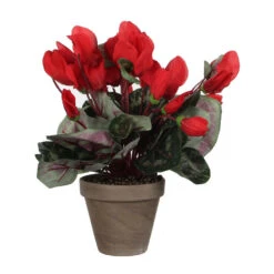 Mica Decorations Kunstplant - Cyclaam - Rood - In Pot - 30 Cm