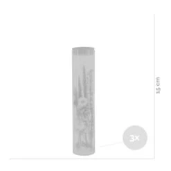 3x Droogbloemen In Glas – Meerkleurig – ↕15 CM -Woonmeubelwinkel 1000041309 0102