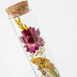 3x Droogbloemen In Glas – Meerkleurig – ↕15 CM -Woonmeubelwinkel 1000041309 0103