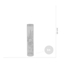 Droogbloemen In Glas – Meerkleurig – Incl. Fles – ↕10 CM -Woonmeubelwinkel 1000041311 0102