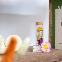 Droogbloemen In Glas – Meerkleurig – Incl. Fles – ↕10 CM -Woonmeubelwinkel 1000041311 0103
