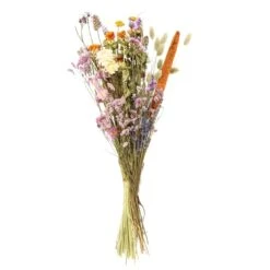 Droogboeket – Meerkleurig – Maat L – Hoogte 60 CM