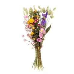 Droogboeket – Meerkleurig – Maat S – Hoogte 35 CM