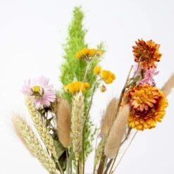 Droog Brievenbusboeket – Meerkleurig – Hoogte 26 CM