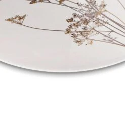 Plexiglasschilderij Berenklauw Ø 50 Cm Beige -Woonmeubelwinkel 1000047110 0103