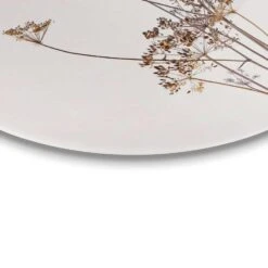 Plexiglasschilderij Berenklauw Ø 70 Cm Beige 7 Plexiglasschilderij Berenklauw Ø 70 Cm Beige -Woonmeubelwinkel 1000047114 0103