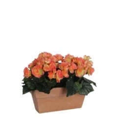 Mica Decorations Begonia Kunstplant - L29 X B13 X H25 Cm - Zalmroze