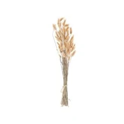 Beliani Droogbloemen Boeket SANABRIA - Natuurlijk Droogbloemen