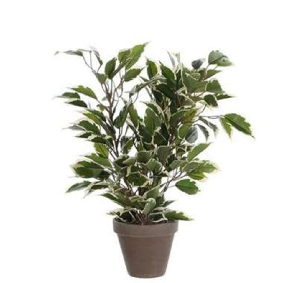 Mica Decorations Kunstplant Ficus - Groen Met Wit - 40 Cm - Binnen 1 Mica Decorations Kunstplant Ficus - Groen Met Wit - 40 Cm - Binnen