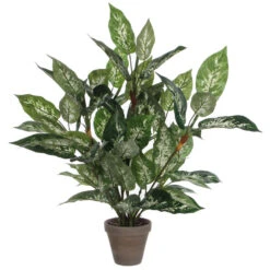 Mica Decorations Dieffenbachia Kunstplant Groen