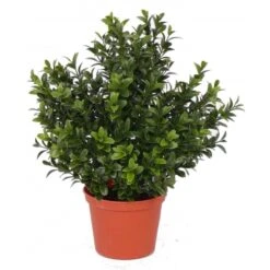 Bellatio Flowers & Plants Kunstplant - Buxus - Groen - In Pot - 31 Cm
