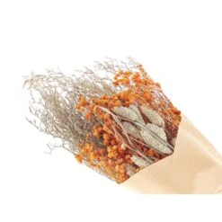 Beliani Droogbloemen Boeket CERCEDILLA - Oranje Droogbloemen -Woonmeubelwinkel 5f693edaa4714dd48830202c12a93b43